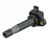 Delphi Bobina di accensione GN10426-12B1 12V SAE per Honda e Acura