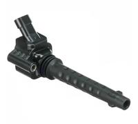 DELPHI Bobina d'accensione 12V Sistema Di Accensione GN10528-12B1 Compatibilità con OPEL COMBO Cassone/Furgonato/Promiscuo X12 Combo Combi/Tour X12, FIAT GRANDE PUNTO 199 500X 334 BRAVO II 198