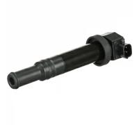 Bobina di accensione DELPHI GN10569-12B1