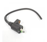 Bobina di accensione HT SGR per Scooter Yamaha 250 X-Max 2005-2006