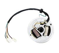 Bobina di accensione, magnete, statore, piastra, accessorio per ,