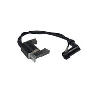 BOBINA DI ACCENSIONE MZ175 adatta for generatore EF2600 2KW, modulo di accensione a stato solido con magnete 7CN-H5640-00