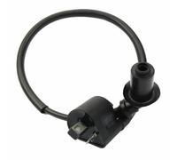 Bobina Di Accensione Nera 0180-152000 Per CFMOTO CF500 UTV A 4 Ruote