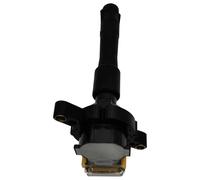 Bobina Di Accensione NEWPARTS Per BMW E34 E39 E60 520i 525i 528i 540i 12V
