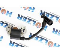 Bobina Di Accensione Originale Per Rasaerba Einhell GH-PM 40 P / 5414