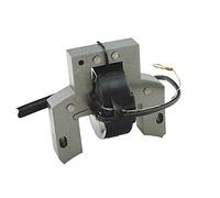 Bobina di accensione Pass.f.b&s 298502