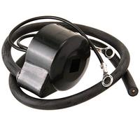 Bobina di accensione Pass.f.Tecumseh