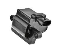 NTY Bobina d'accensione ECZ-CH-011 compatibile con Chevrolet, Daewoo, General Motors, Pontiac