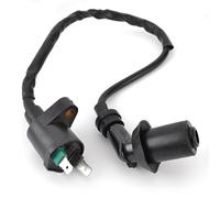 Bobina Di Accensione Per Can-Am DS70 DS90 X MINI Mini DS 70 90 4T Aeon ATV Cobra 220 GOES ATV 220