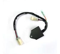 Bobina Di Accensione Per CDI Per YFM 225 250 Moto 4 1986-1991 59V-85540-20-00 59V-85540-21-00 59Y-85540-21-00
