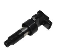 Bobina di accensione per Jaguar Xj X350 per X-Type per Estate X400 3.0L 2003-2009 OE# 6R8312A366Ba C2S42673 C2S11480 Xr822478