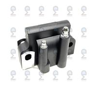 Bobina Di Accensione Per Johnson Evinrude 20 60 70 HP BE20 BE60 BE70 1996-1998