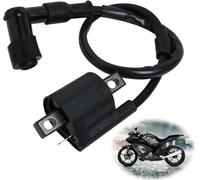 Bobina Di Accensione per Moto, Bobina Accensione Ignition Coil Sostituzione Spar
