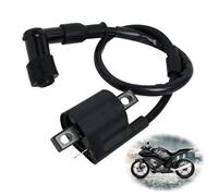 Bobina di Accensione per Moto, Bobina Accensione Ignition Coil Sostituzione Spark Coil per ATV Dirt Pit Bike Scooter Go-Kart Ciclomotore Ccooter 150CC 200CC 250CC per CBF125 CBR125 TRX650 TRX700