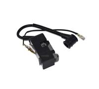 bobina di accensione per Parkside Einhell Riwall Pro Greencut motosega