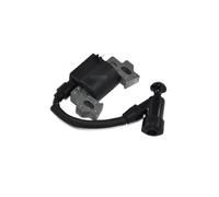 bobina di accensione per rasaerba tosaerba Einhell BG-PM 46/3 S / BG-PM 40