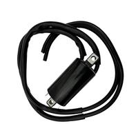 Bobina Di Accensione Per YZF600R Thunder Cat YZF750R XTZ750 Super Tenere YZF-R1 1998-2001 Bobine Di Ricambio Per Motociclette CDI