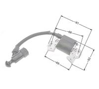 Bobina di accensione solo per tosaerba Einhell BM 51 (BM51)