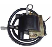 Bobina di accensione TECNIUM 4037 DZE