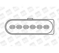 Bobina di accensione Tipo di raccordo dente di sega ZSE029 BorgWarner (BERU)