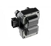 NTY Bobina d'accensione compatibile con FORD MAZDA ECZ-FR-003
