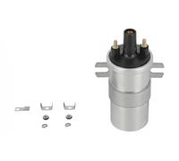 Bobina di accensione Tipo di raccordo DIN ZS563 BorgWarner (BERU) per BMW AUDI