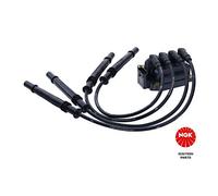 NGK 49075 Sistema di Riscaldamento e Accensione