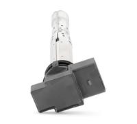 BERU Bobina d'accensione ZSE031 per VW, Audi, Bentley, Passat (3B6), Touareg