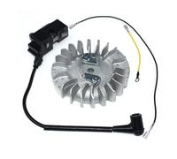 Bobina di accensione, volano adatto for CS2141S, CS2145, CS2145S, CS2147, CS2150, CS2152, CS2153, CS2156, CS2159, CS2163, CS2165, CS2166, CS2171