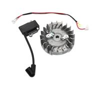 Bobina di accensione, volano adatto for GZ381, GZ500, CS450, CS450 Elite