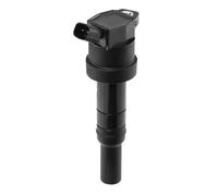 BorgWarner (BERU) Bobina di accensione BEZS478 per HYUNDAI, KIA