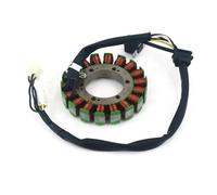 Bobina di carica del generatore dello statore del motore del motociclo per Arctic Cat ATV 375 cambio automatico 2X4 400 FIS TBX TRV VP Statore magnetico bobine