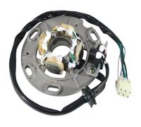 Bobina Di Statore Accensione Per Moto Per Yam&Aha YZ250 YZ250H1 1996 YZ250J1 Per COMPETITION 1997 Moto Statore Bobina Moto Generatore Statore Bobina