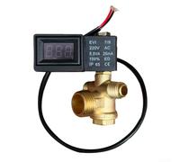 Bobina digitale leggera e valvola di ritegno elettromagnetica per compressore d'aria dell'olio 220V (con valvola di ritegno)