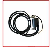 BOBINA DOPPIA ACC. 12V-CC BENELLI 304 Turing Quattro Cil. 304 0000-0000