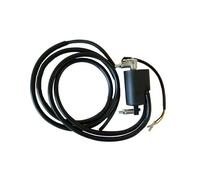 BOBINA DOPPIA ACCENSIONE 12V-CC YAMAHA XP D-A T-Max DX ABS 530 2017-2019