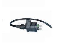 Bobina Tecnium By Dze 4019 Trx 250 Accensione Elettrica Cdi Per Moto Ricambi