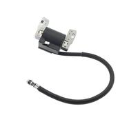 Bobina elettronica Vanguard mono e bicilindrici dai 9 HP e su monocilindri OHV