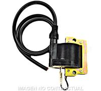 Sgr Kawasaki Klr Ignition Coil Oro