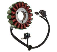 Bobina Fili Magneto Statore Compatibile Con Per Ninja300/250/250R Per EX300 Per EX250 Per ER250 Per Z250 Per ER300 Per Z300 Bobina Statore Moto