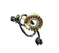 Bobina Fili Magneto Statore Compatibile Con Suzuki Per DR200 1995-2013 Per DF200 1996-2000 Moto Generatore Statore Bobina Comp Oem 32101-42A40-000