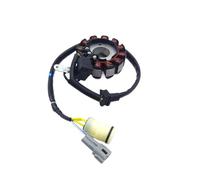 Bobina Generatore Magneto DC/12 Statore Moto Per Testata Cilindro Per NC250/250S/300S/450 AVANTIS ENDURO BRZ Statore Magnete Piastra Bobina