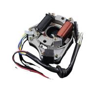 Bobina Generatore Motore Per 50cc 70cc 90cc 110cc 125cc 2 Bobine Magneto Generatore Statore Bobina