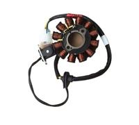 Bobina Generatore Statore Motore Motorcycle Coil Magneto Stator Ignition Accessories Generator/For Kcc Acc 2v