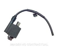 Sgr Honda Pcx 125 13-14 Ignition Coil Argento