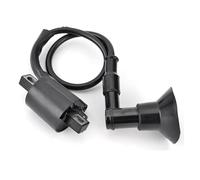 Bobina Ignition Bobina Accensione Per Motocicletta Per Adly ATV Per SuperRCross 50 XXL AC LC II Per Utility XXL 30510-110-000 Per SMC Per REX Per Quad 50 Coil Candela Accensione