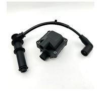 Bobina Ignition Coil Per Aprilia Per Scarabeo 50 Per Atlantic Eu3 125 Per Lo Sport Per La Città Per Cube 250 Sr Per Max 300 Bobina Di Accensione 12V 77187322(With line)