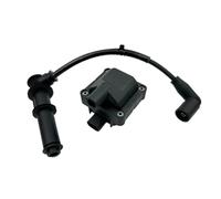 Bobina Ignition Coil Per Aprilia Per Scarabeo Per Atlantic Per Lo Sport Per La Città Per Cube Sr Per Max Per Atlantic500 Per Scarabeo500 Bobina Di Accensione 12V 77187322(With line)