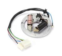 Bobina Ignition Coil Per PW80 Doppia Bobina Di Accensione Magneto Statore Accessorio Piastra Moto Bici