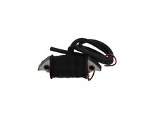 BOBINA INTERNA AT IMPIANTO BOSCH RIF.2204211029 per GARELLI Eureka 50 0000-0000